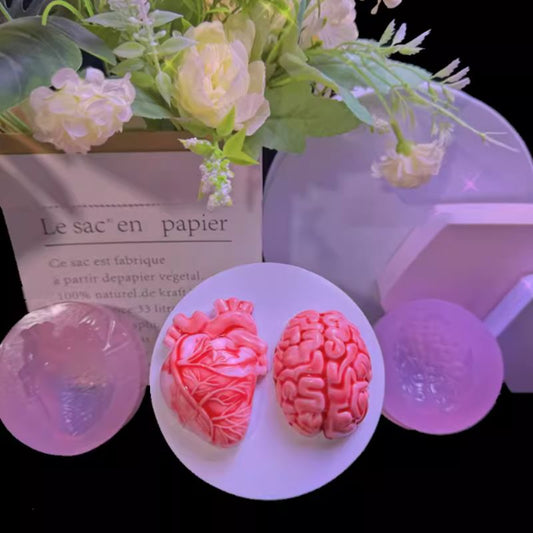 Handmade Simulation Brain Heart Decoration Resin Mold