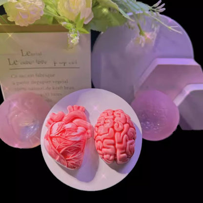 Handmade Simulation Brain Heart Decoration Resin Mold